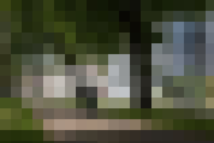 Image 20