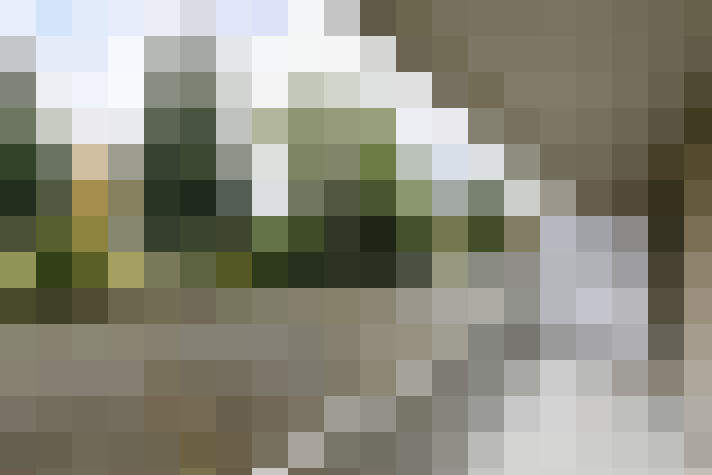 Image 13