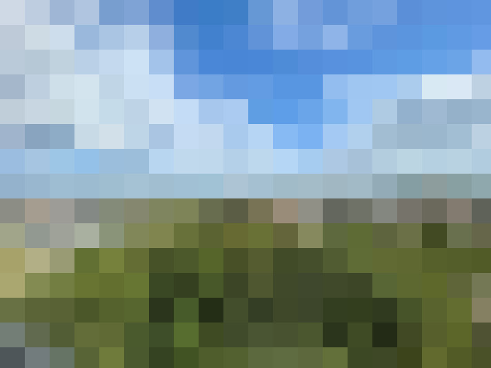 Image 14