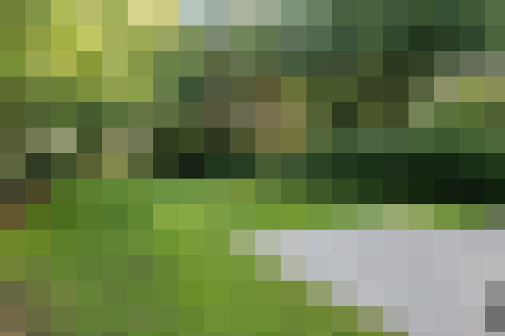 Image 33