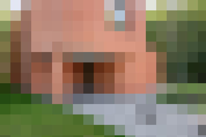 Image 30