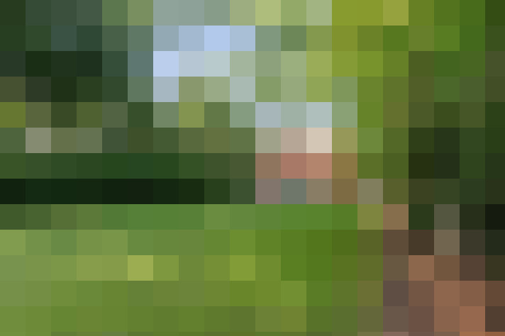 Image 37
