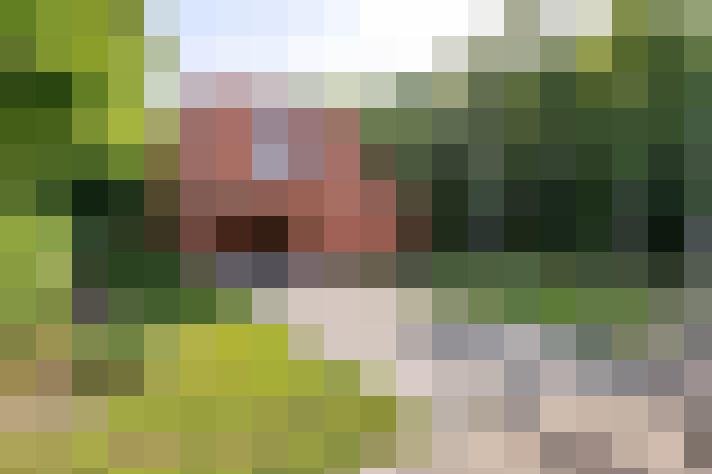 Image 31