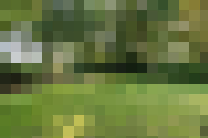 Image 36