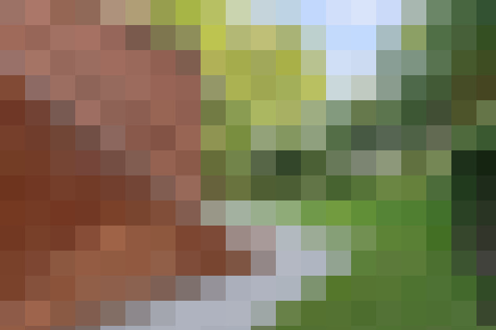 Image 29