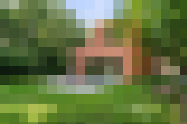 Image 34