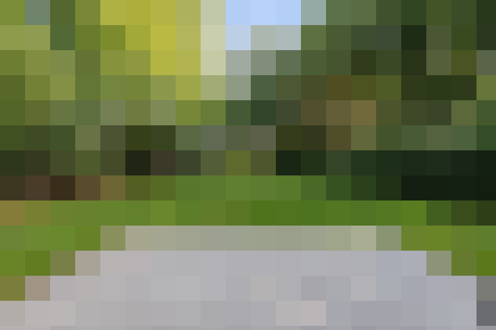 Image 38