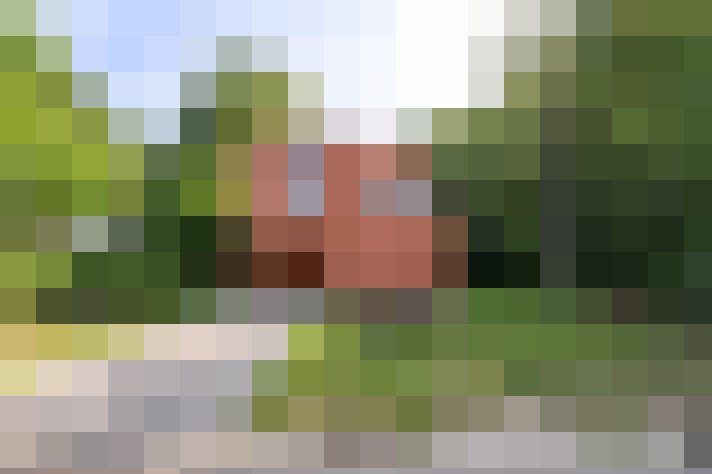 Image 32
