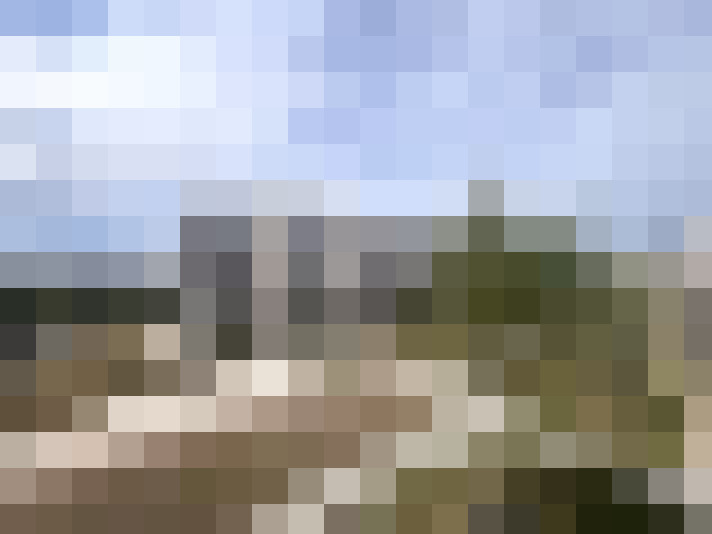 Image 17