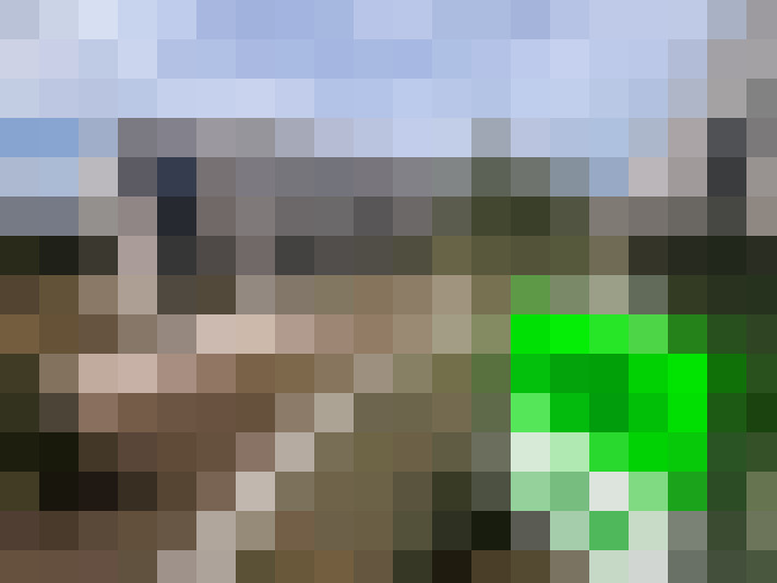 Image 16
