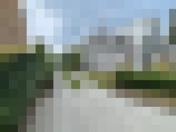 Image 25