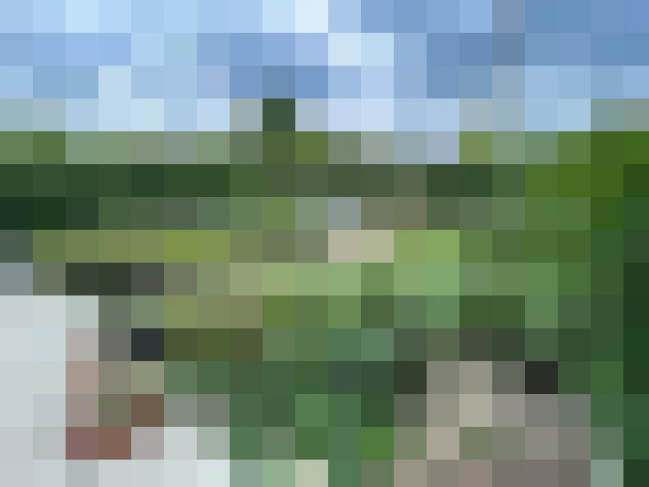 Image 20