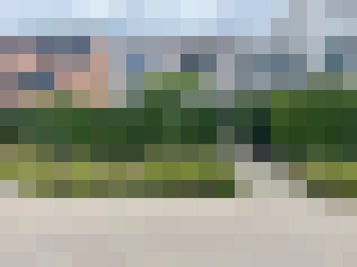 Image 26
