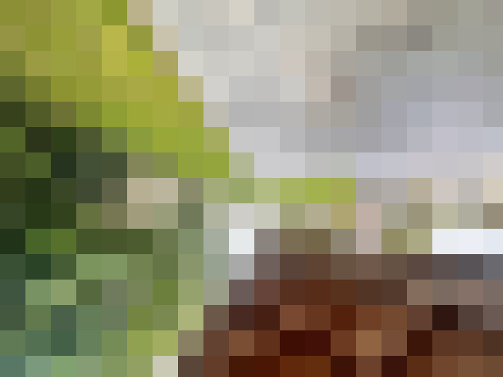 Image 17