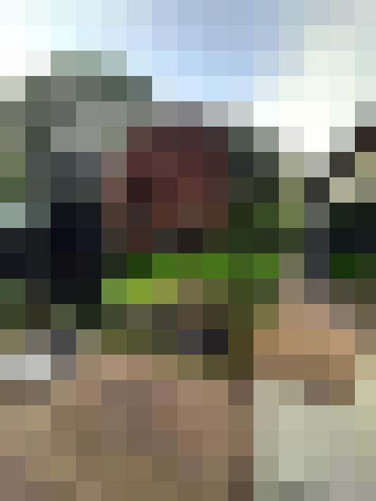 Image 42