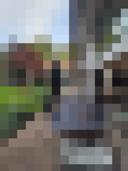 Image 41