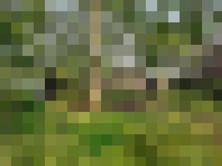 Image 49