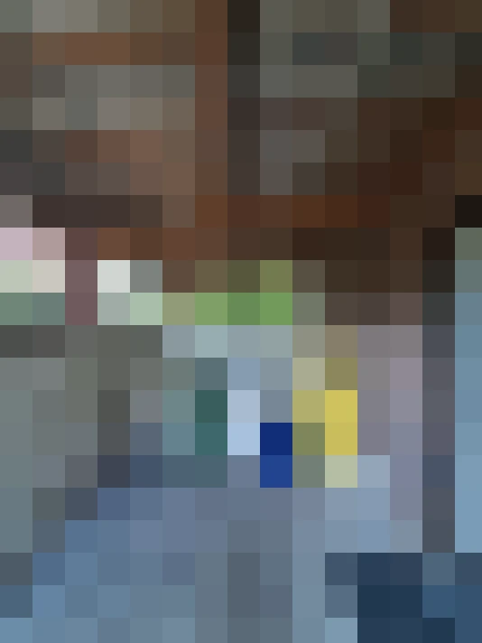 Image 46