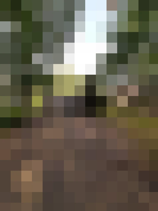 Image 48