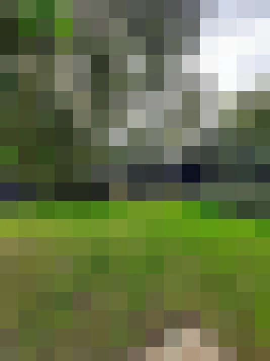 Image 50