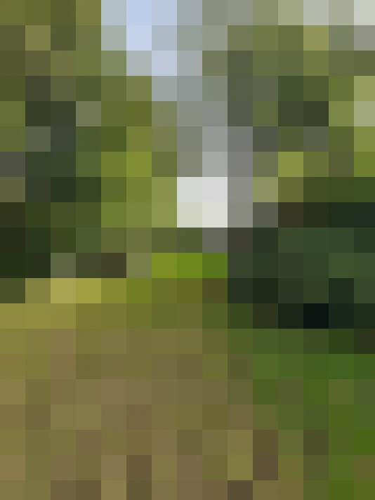 Image 51