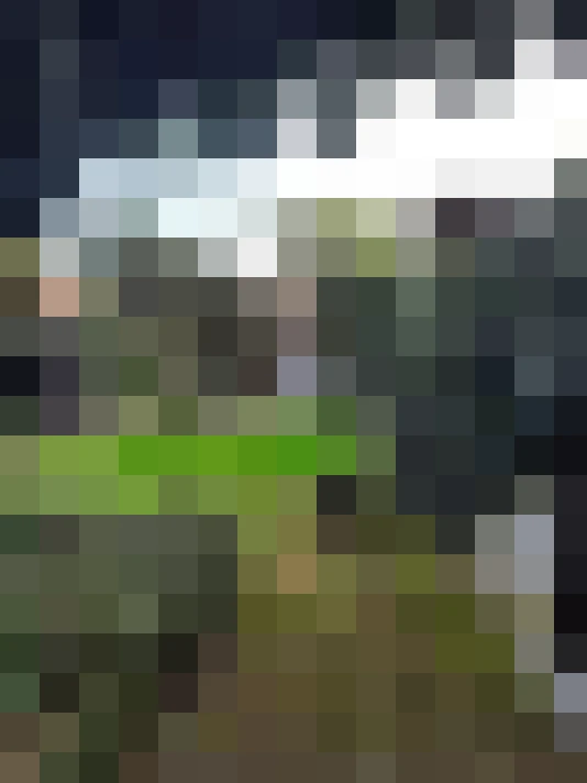 Image 43