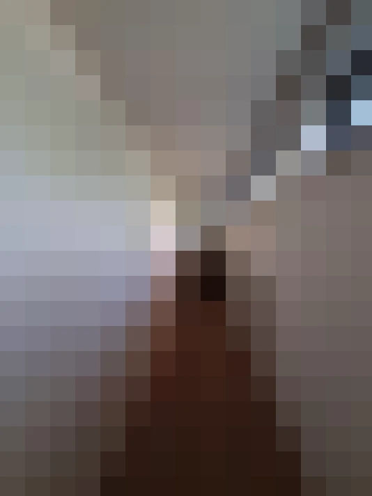 Image 28