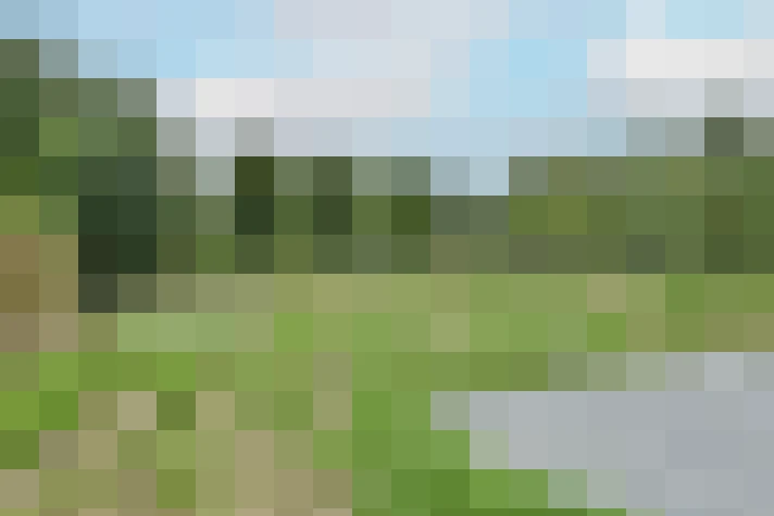 Image 16