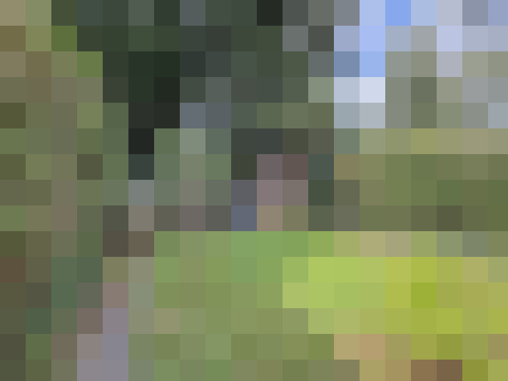 Image 27