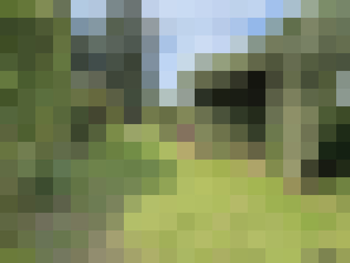 Image 25
