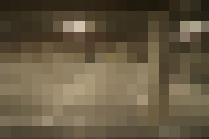 Image 14