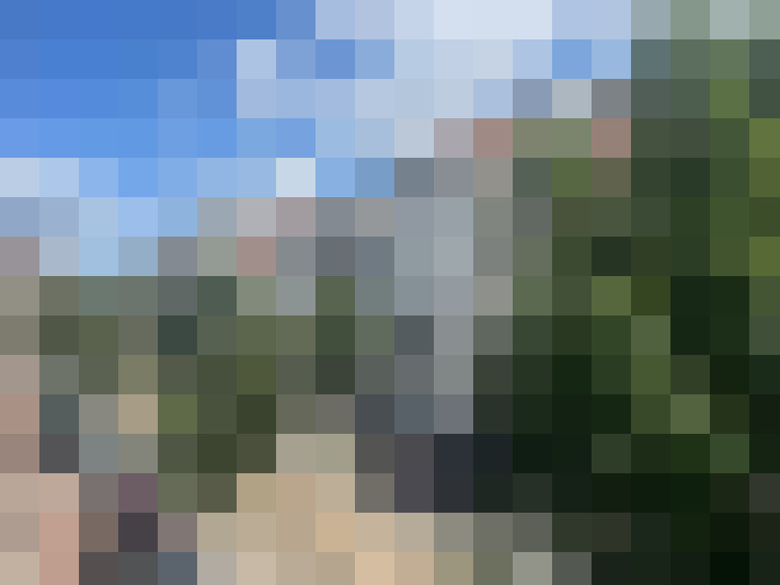 Image 17