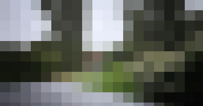 Image 18