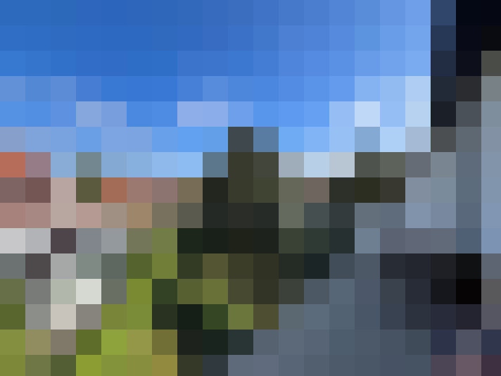Image 21