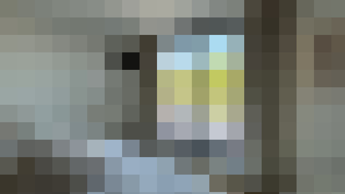 Image 20