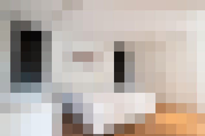 Image 20