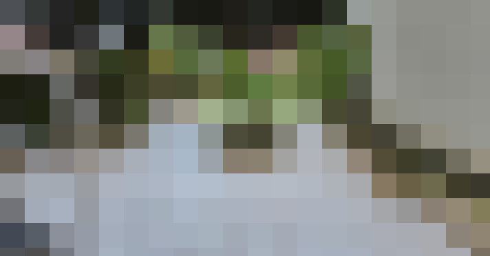 Image 14