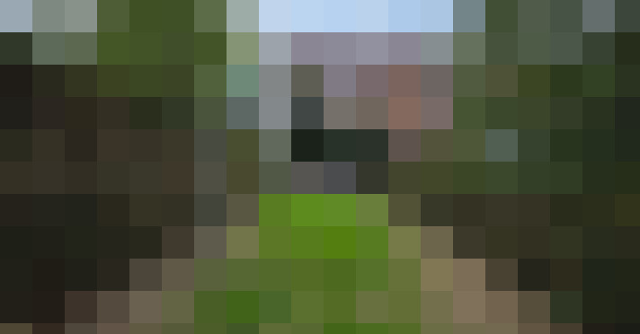 Image 17