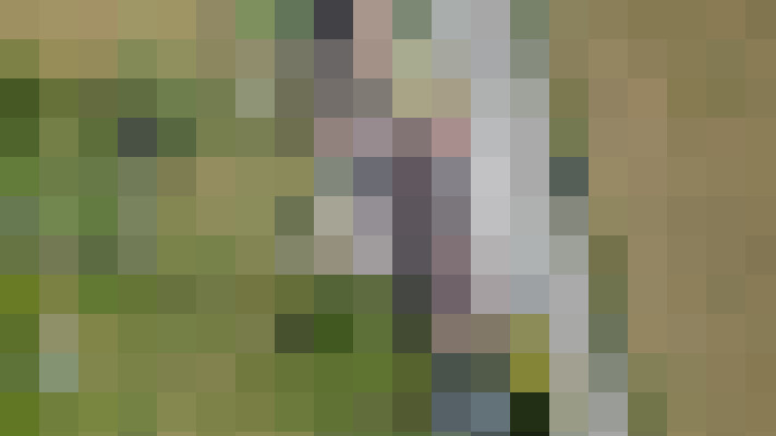 Image 55