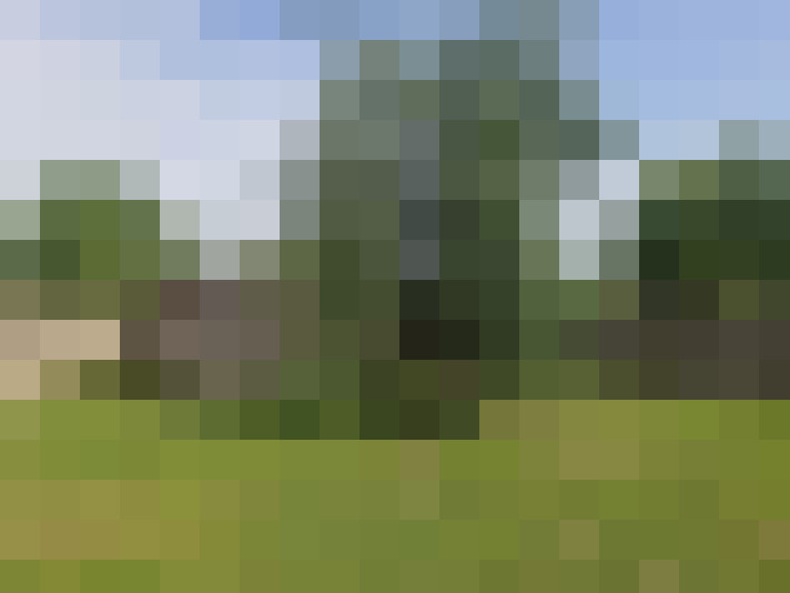 Image 45