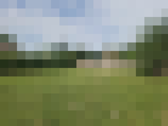 Image 43