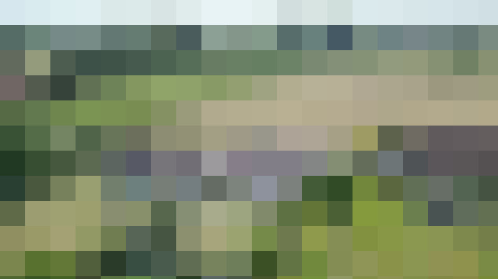Image 54