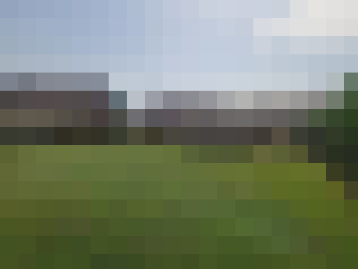 Image 53