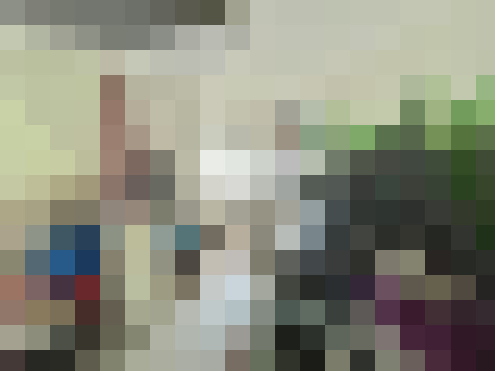 Image 16