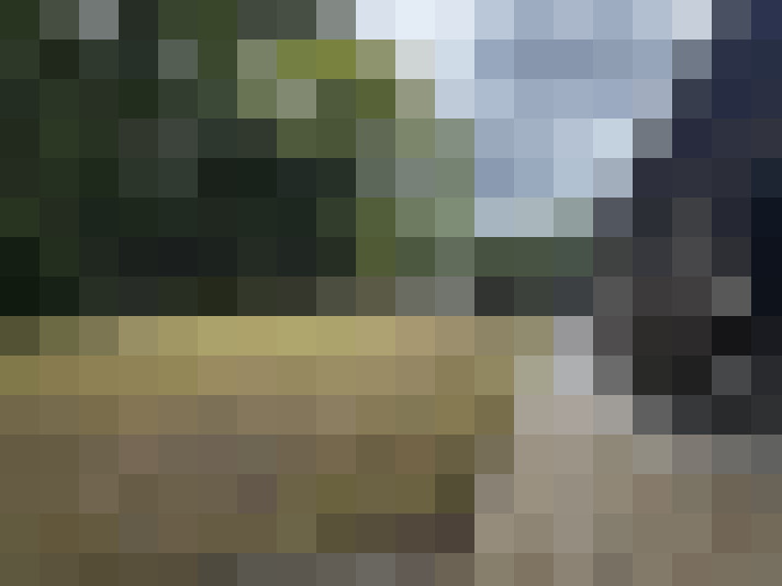 Image 14