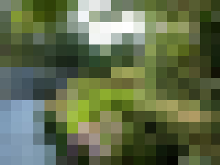 Image 20