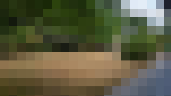 Image 23