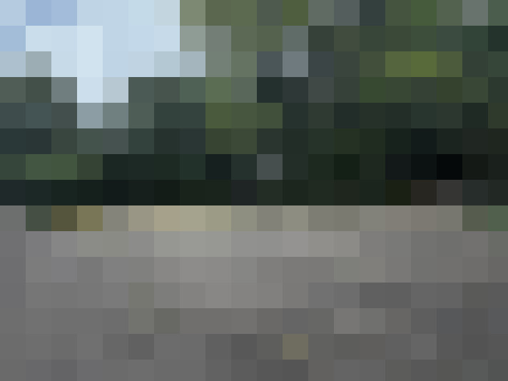 Image 22