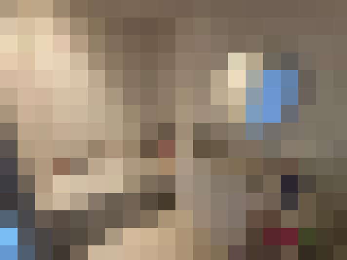 Image 50
