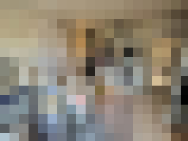 Image 35